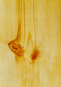 wood\wood129.jpg